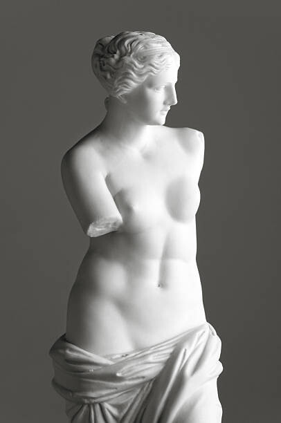 221A Umělecká fotografie Venus de Milo on grey, 221A, (26.7 x 40 cm)