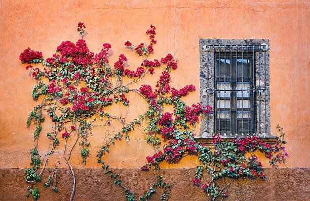 Diane Miller Umělecká fotografie Architectural Details, San Miguel de Allende,, Diane Miller, (40 x 26.7 cm)