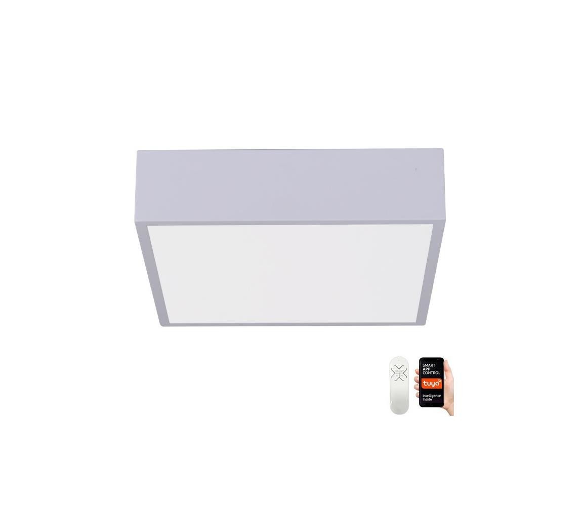 Neo  NEO 07238L - LED Stmívatelné stropní svítidlo CANTO 22W/230V bílá Tuya +DO