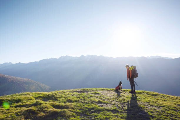 GETTY Umělecká fotografie Hiker and rescue dog on grassy hill, Switzerland, (40 x 26.7 cm)