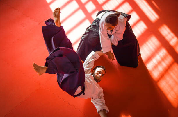 sanjeri Umělecká fotografie Two Aikido Fighters, sanjeri, (40 x 26.7 cm)