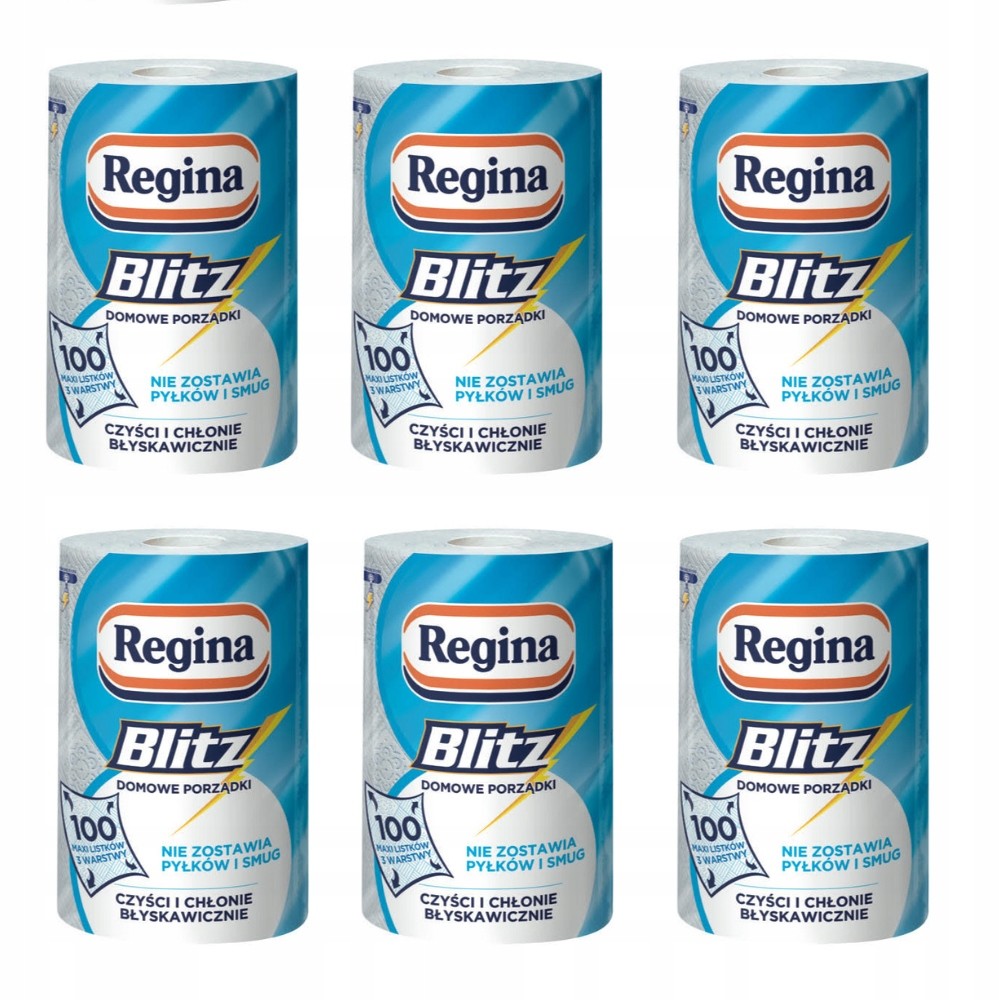 Papírový ručník Regina Blitz sada 6 balení