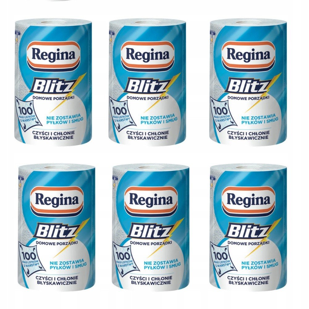 Papírový ručník Regina Blitz sada 6 balení