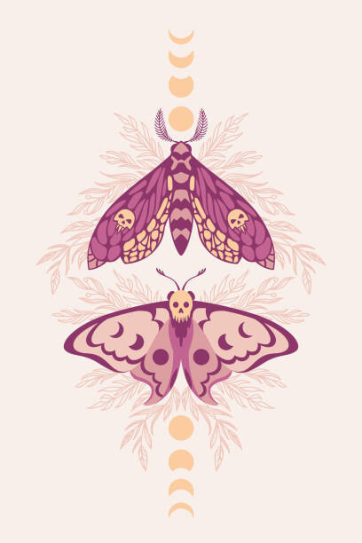 Iryna Shorokhova Umělecká fotografie Vector pattern with night moths and, Iryna Shorokhova, (26.7 x 40 cm)