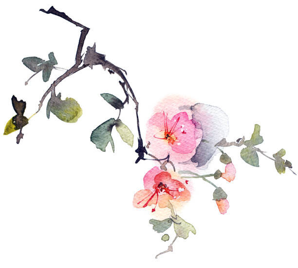 Ola_Tarakanova Ilustrace Blossom tree branch, Ola_Tarakanova, (40 x 35 cm)