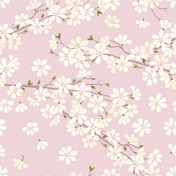 Rusanovska Ilustrace Cherry Blossom Pattern, Rusanovska, (40 x 40 cm)