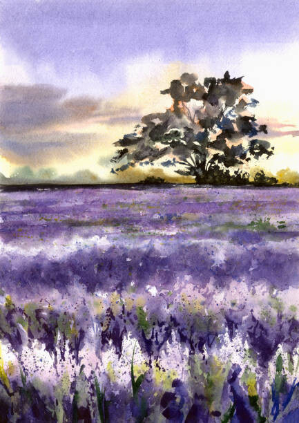 InkyWater Ilustrace Lavender field and tree., InkyWater, (30 x 40 cm)