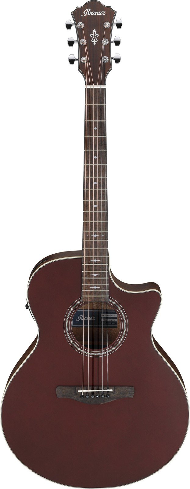 Ibanez AE100-BUF