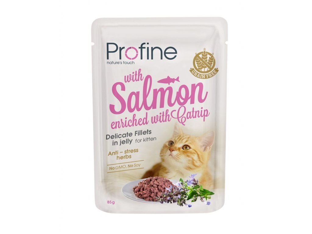PROFINE cat kitten SALMON in jelly - 85g