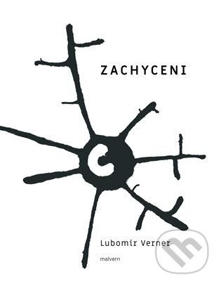 Zachycení - Lubomír Verner