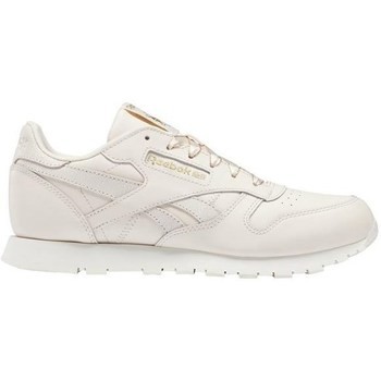 Reebok Sport  Classic Leather  Béžová