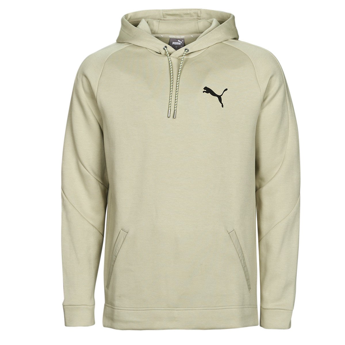 Puma  DAY IN MOTION HOODIE DK  Šedá