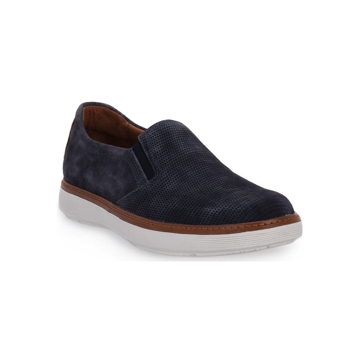 Zen  OCEANO FROG  Modrá