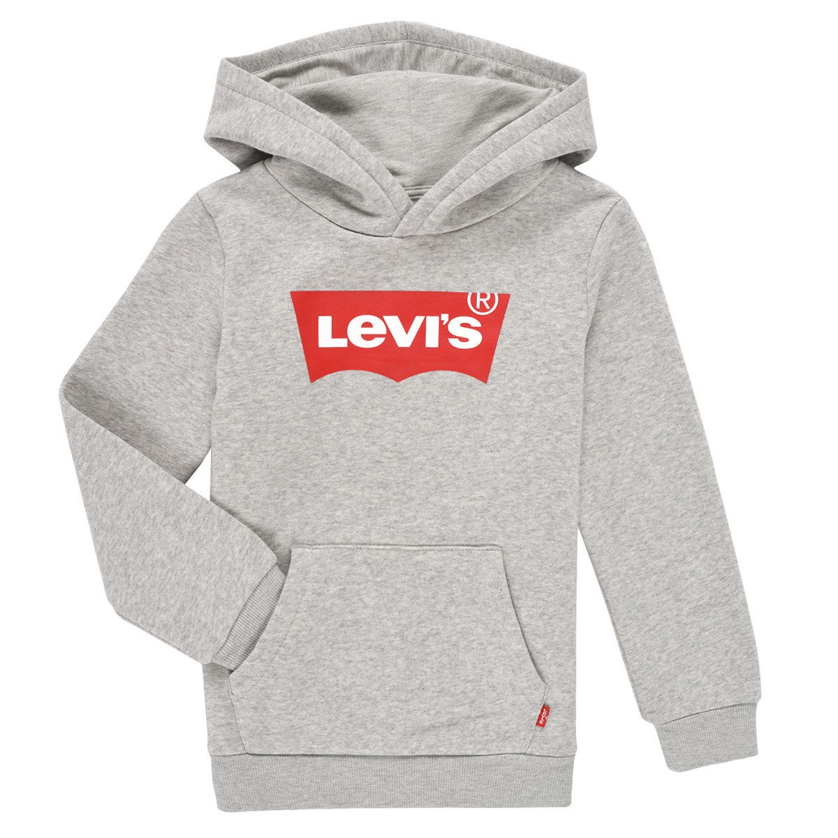 Levis  BATWING SCREENPRINT HOODIE  Šedá