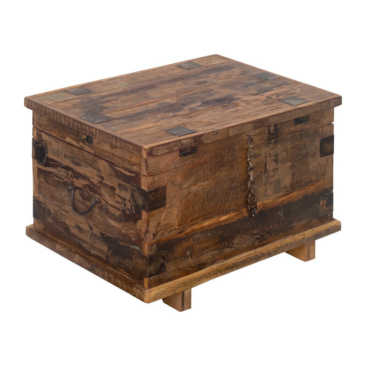 Signes Grimalt  Kmen  Hnědá