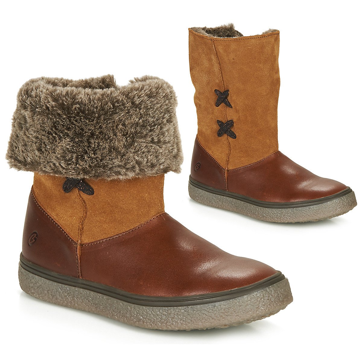 GBB  OLINETTE  Hnědá