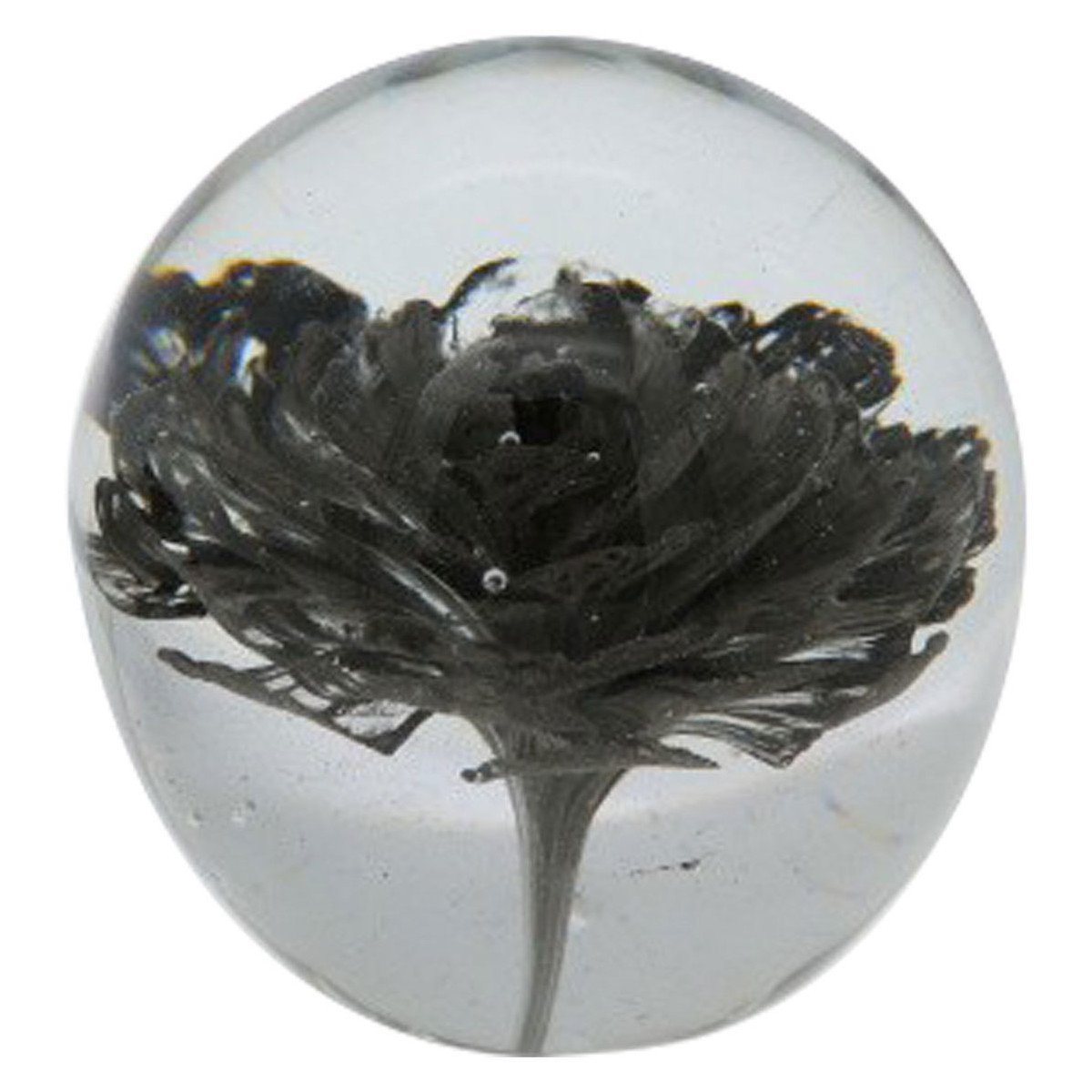 Signes Grimalt  Pisapapely S Růžovou  Černá