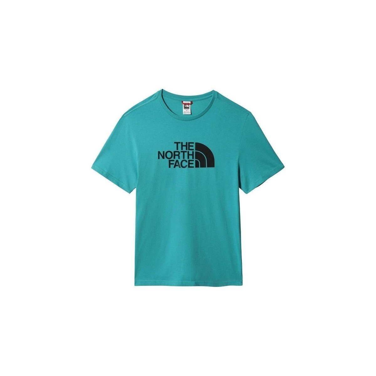 The North Face  M SS EASY TEE  Zelená