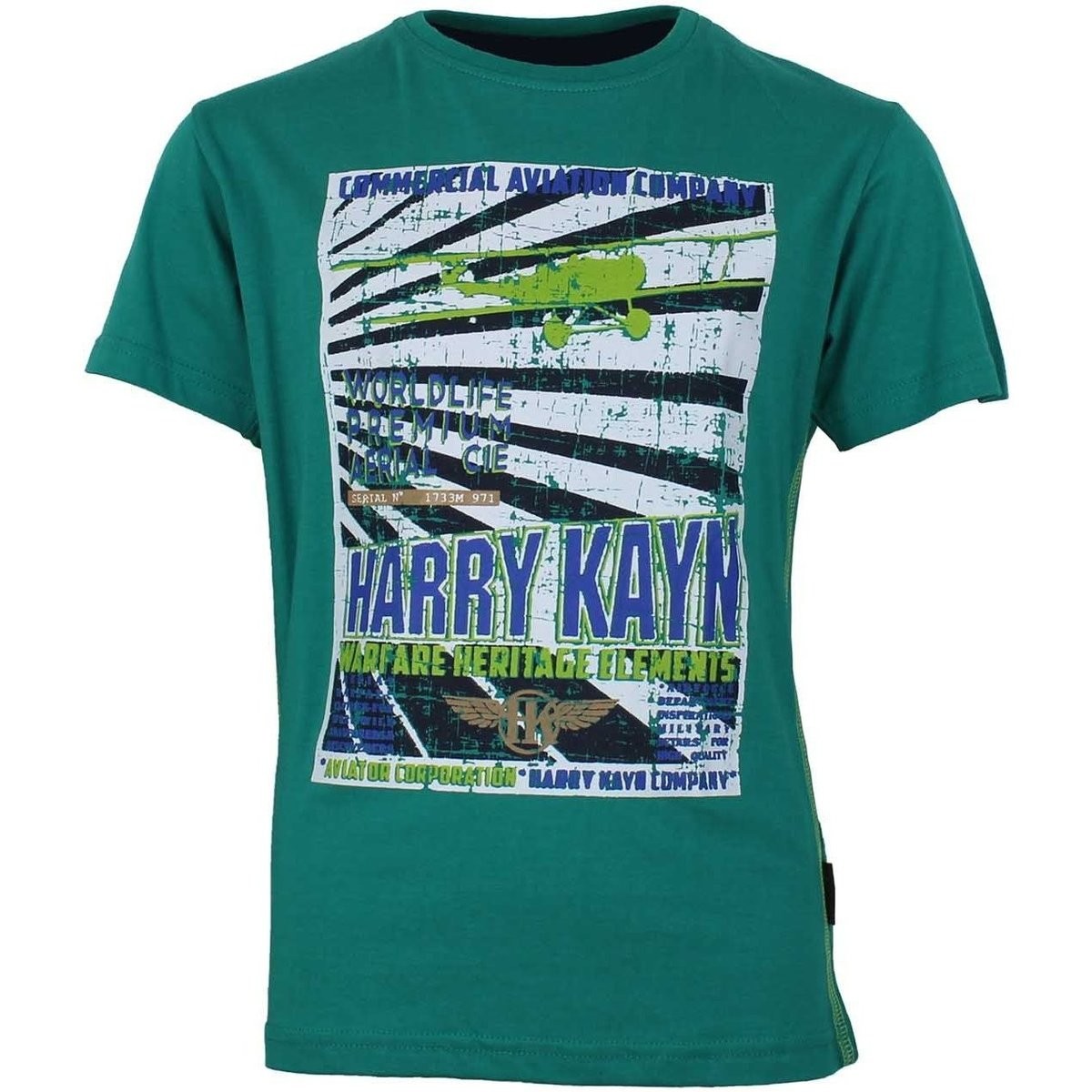 Harry Kayn  T-shirt manches courtesgarçon ECEBANUP  Zelená