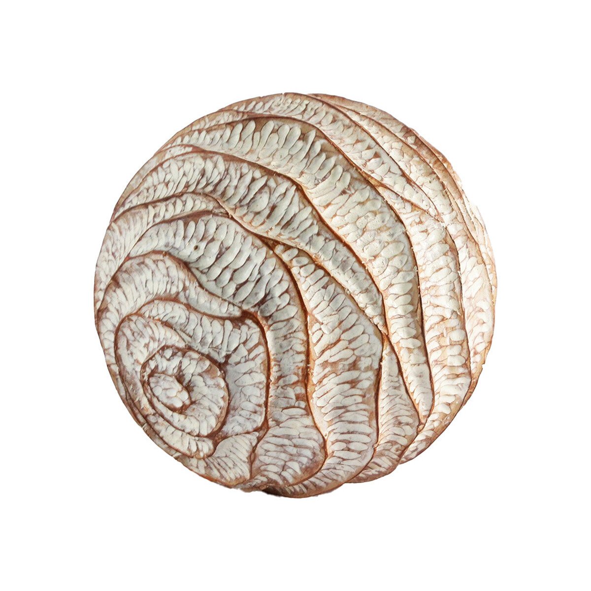 Signes Grimalt  Bola Ornament  Hnědá