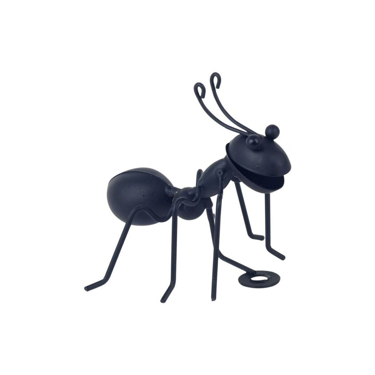 Signes Grimalt  Černý Mravenec  Černá