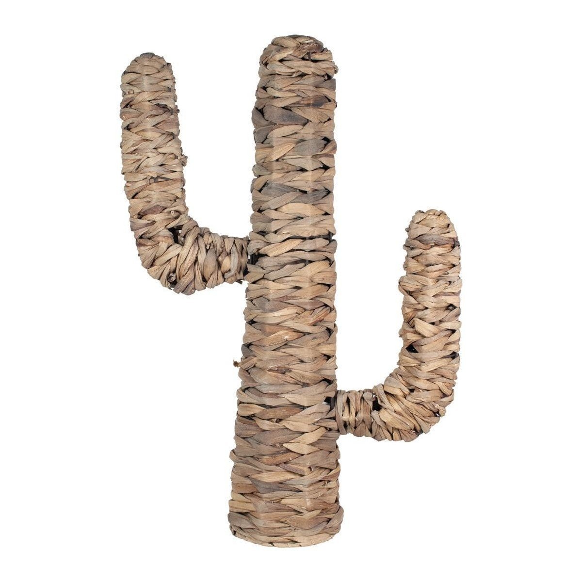 Signes Grimalt  Kaktus  Hnědá