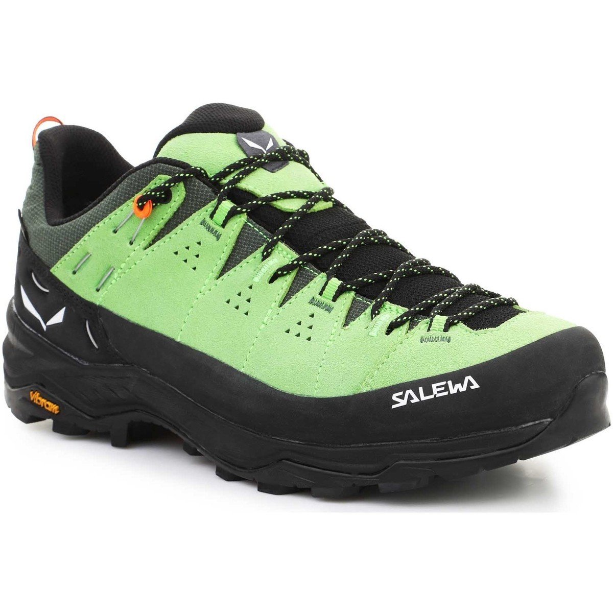 Salewa  Alp Trainer 2 Gore-Tex® Men's Shoe 61400-5660  Zelená