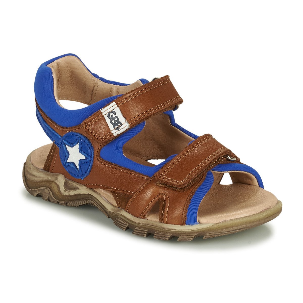 GBB  RICHIE  Hnědá