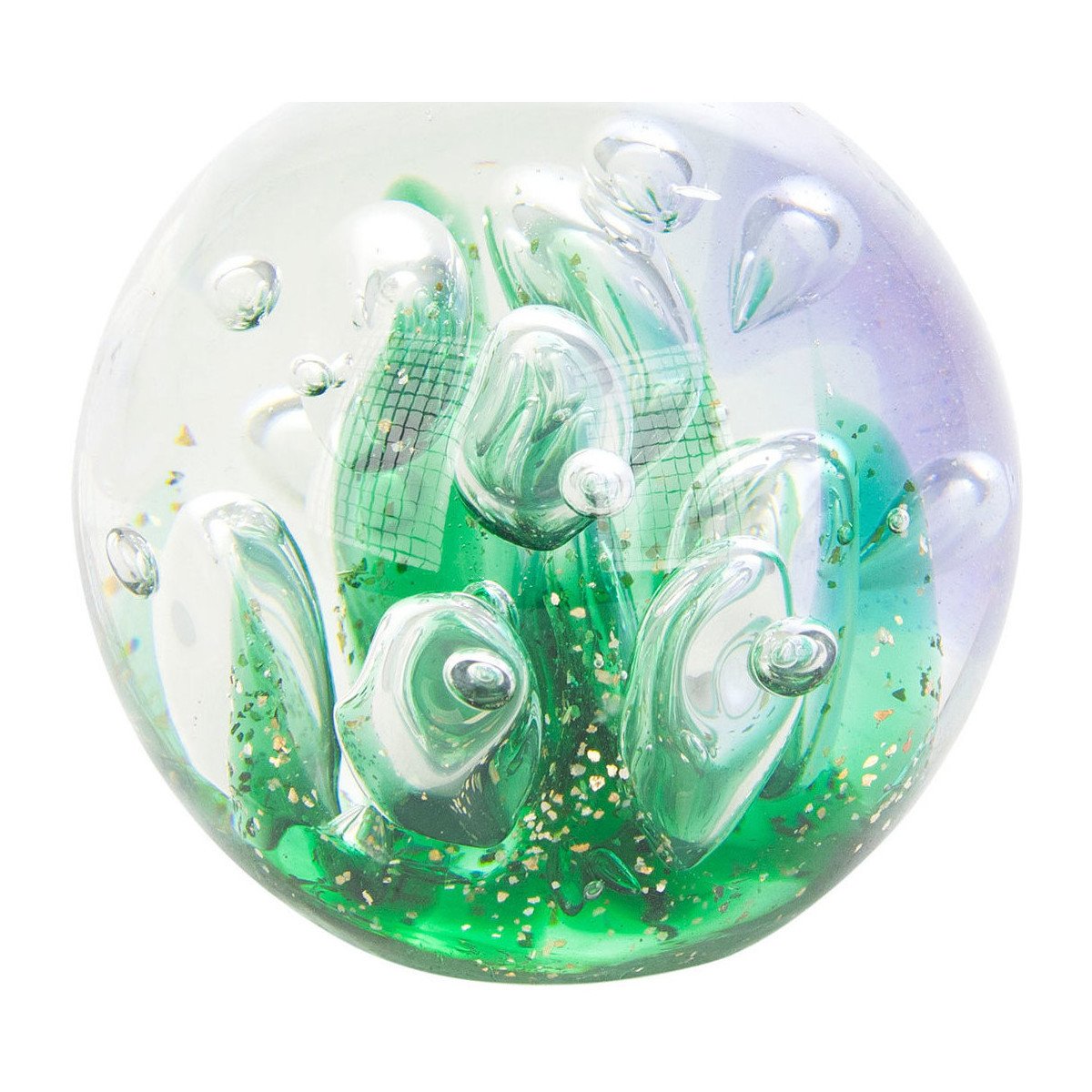 Signes Grimalt  Řasy Pisapapeles  Zelená