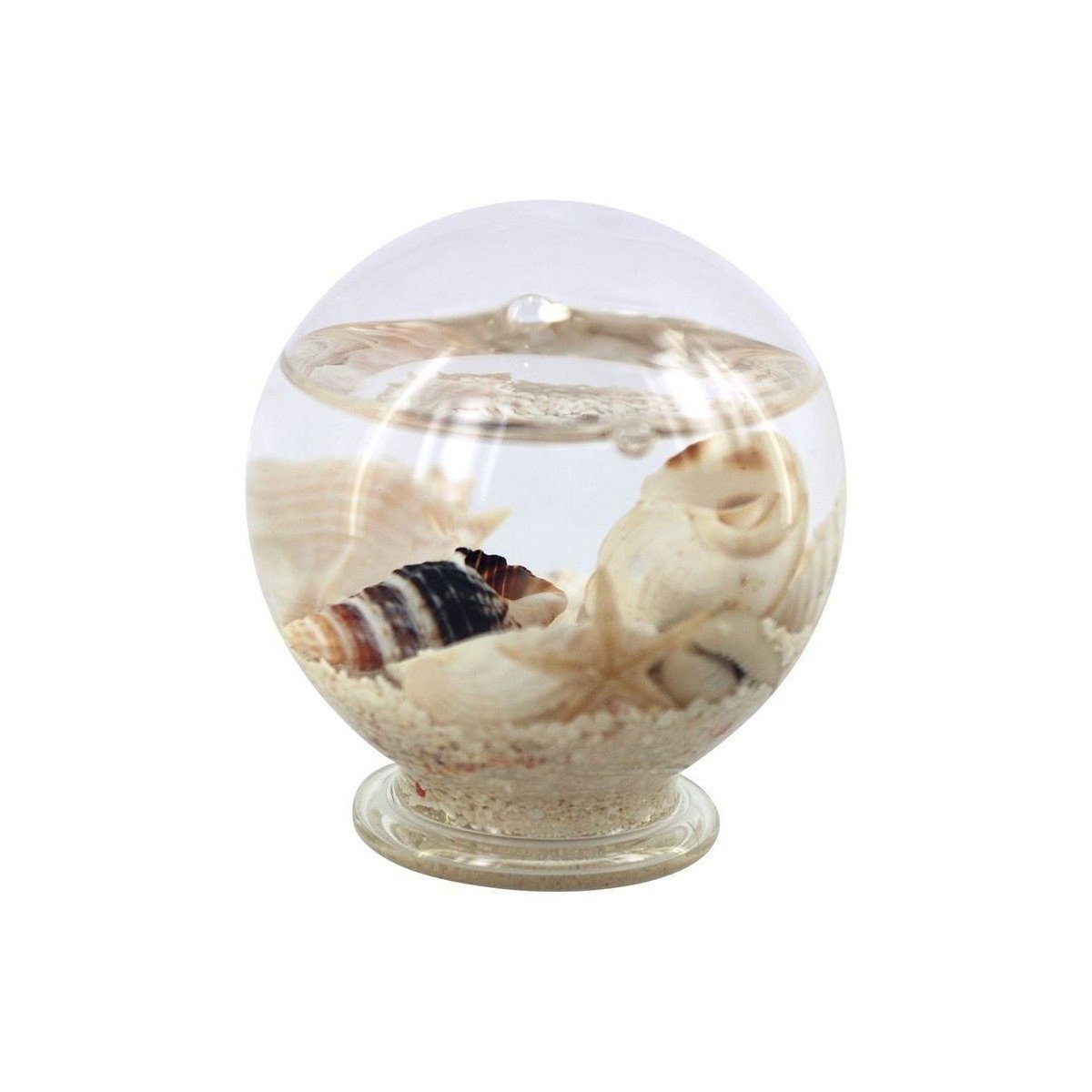 Signes Grimalt  Malý Mořský Míč  ruznobarevne