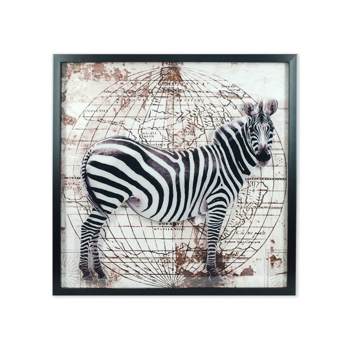 Signes Grimalt  Obrázek  Šedá