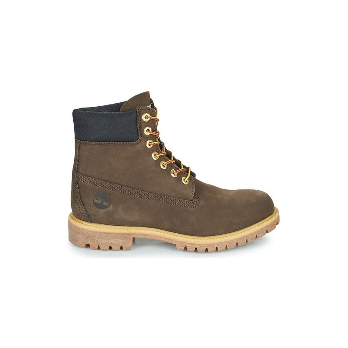 Timberland  6 IN PREM DK  Hnědá