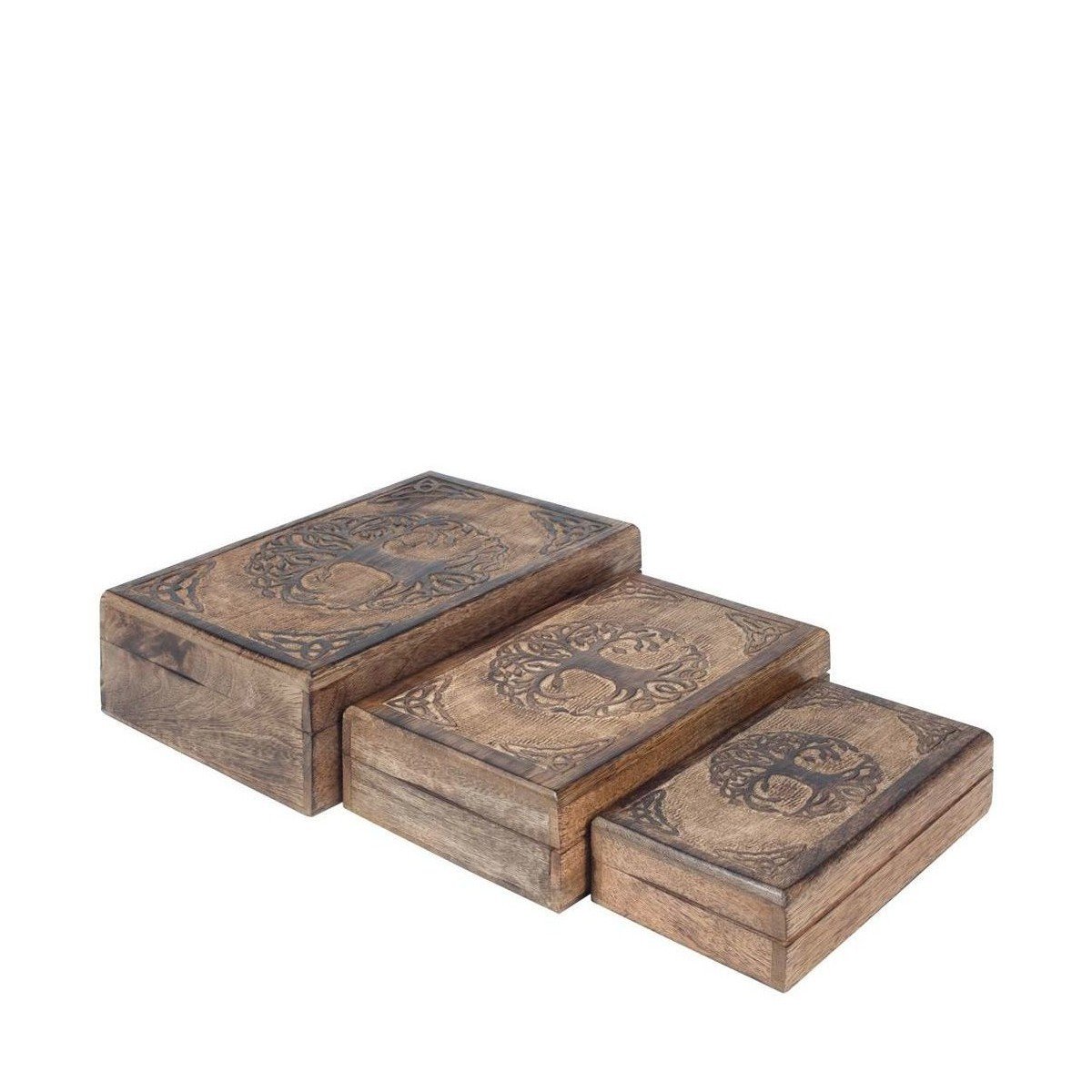 Signes Grimalt  Set Set 3 Jednotky  Hnědá