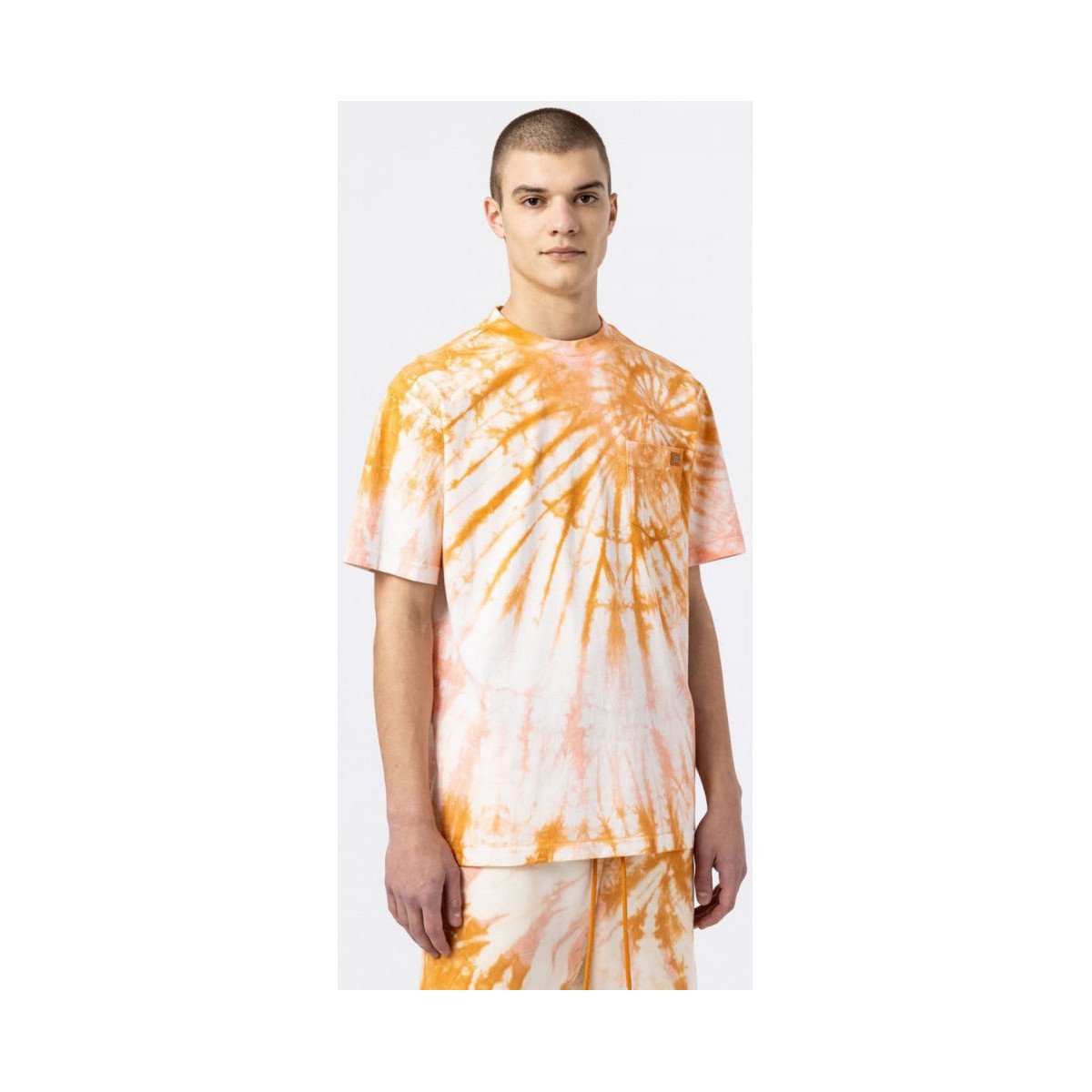 Dickies  Seatac tee ss  Žlutá