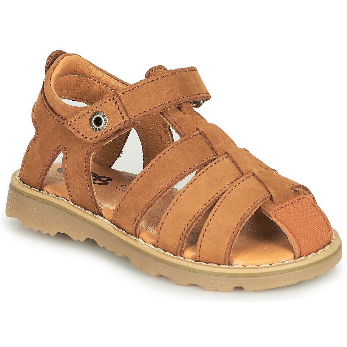 GBB  FERNATO  Hnědá