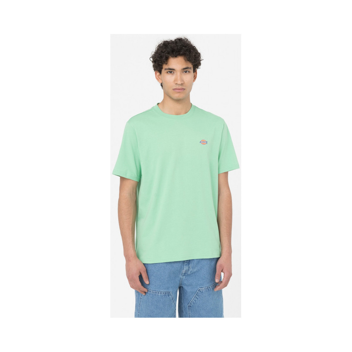 Dickies  Ss mapleton t-shirt  Zelená