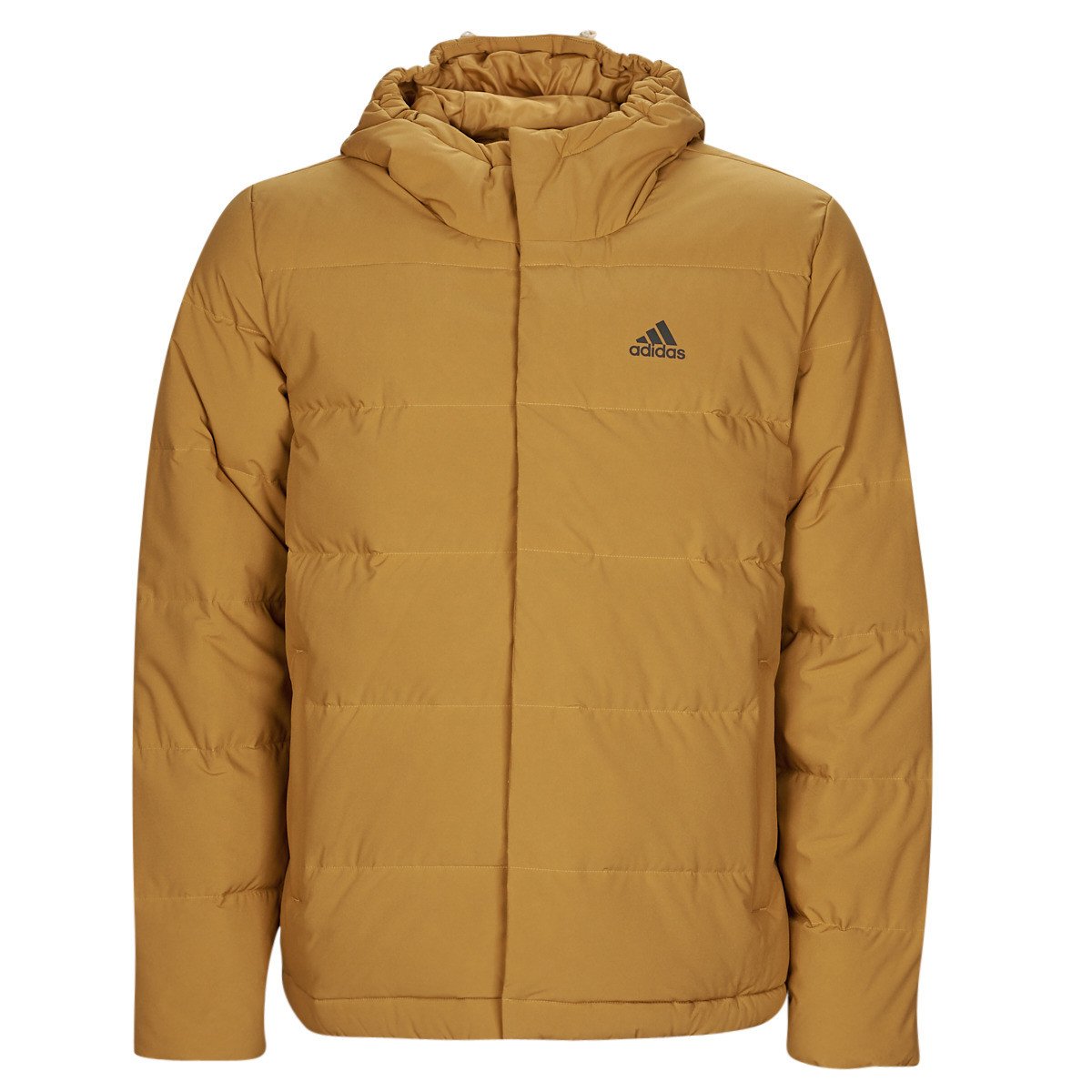 adidas  HELIONIC HO JKT  Žlutá