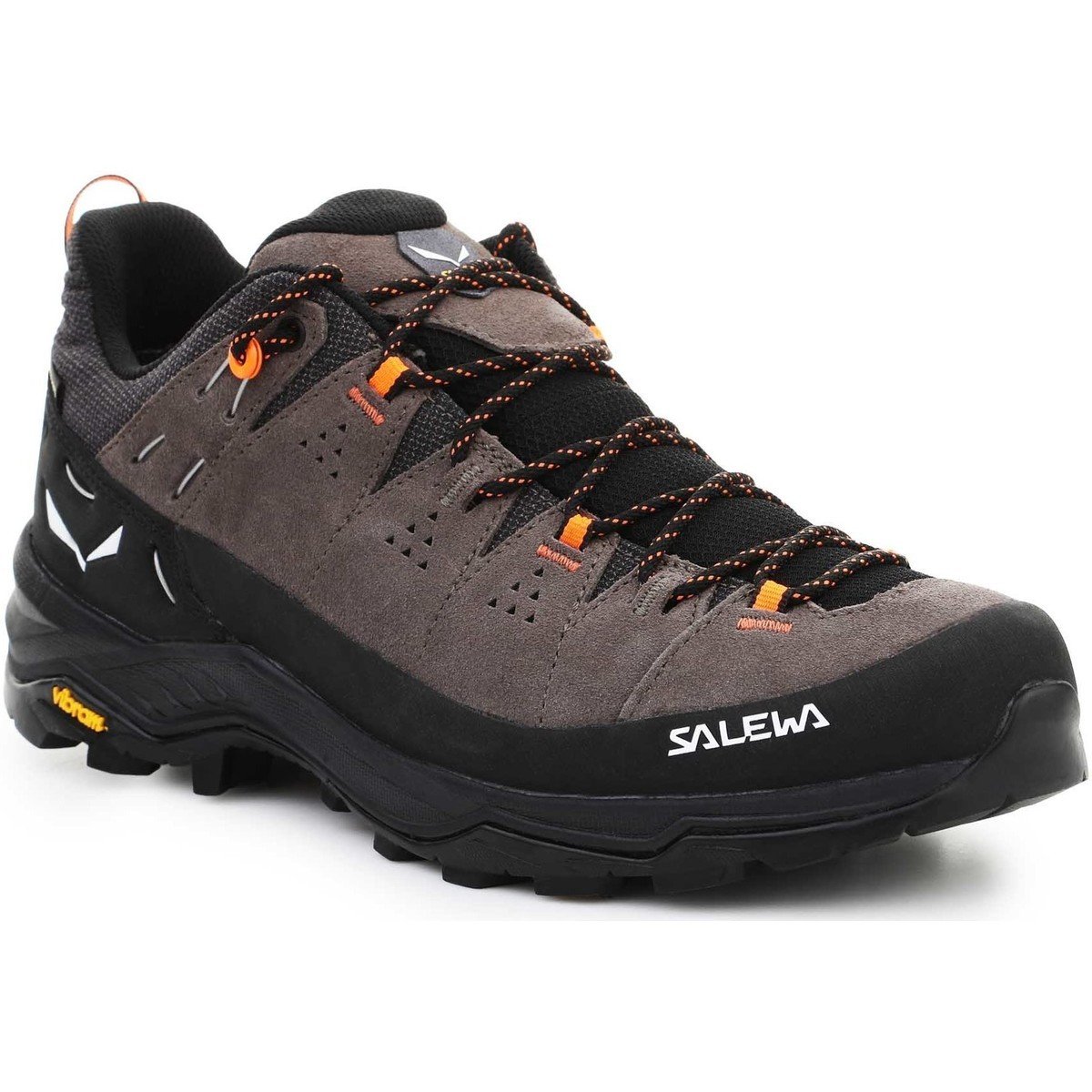 Salewa  Alp Trainer 2 Gore-Tex® Men's Shoe 61400-7953  ruznobarevne