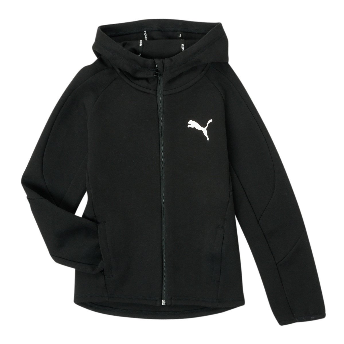 Puma  EVOSTRIPE CORE FZ HOODIE  Černá