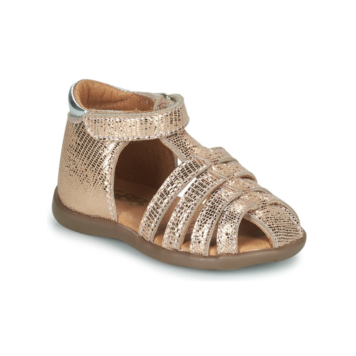 GBB  JINETTE  Zlatá