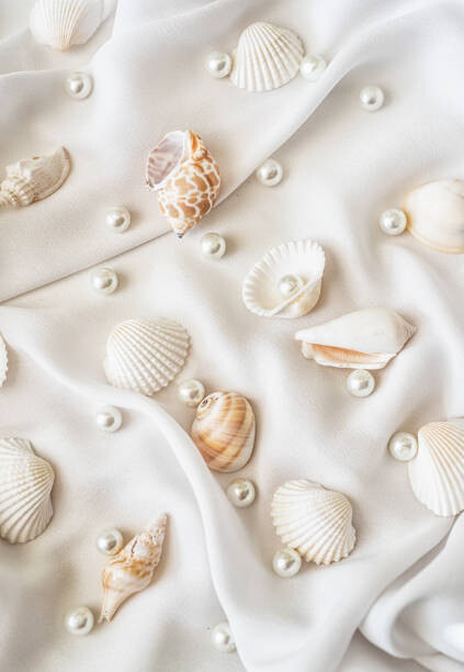 Natalia Ganelin Umělecká fotografie Seashells and pearls on white silk, Natalia Ganelin, (26.7 x 40 cm)