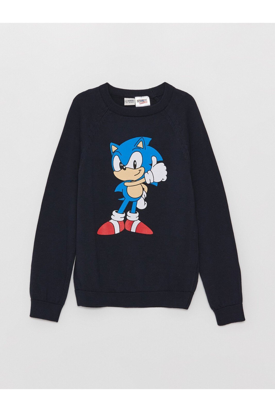 LC Waikiki Boy's Crew Neck Sonic Printed Long Sleeve Knitwear Sweater