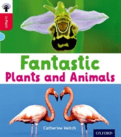 Oxford Reading Tree inFact: Oxford Level 4: Fantastic Plants and Animals (Veitch Catherine)(Paperback / softback)