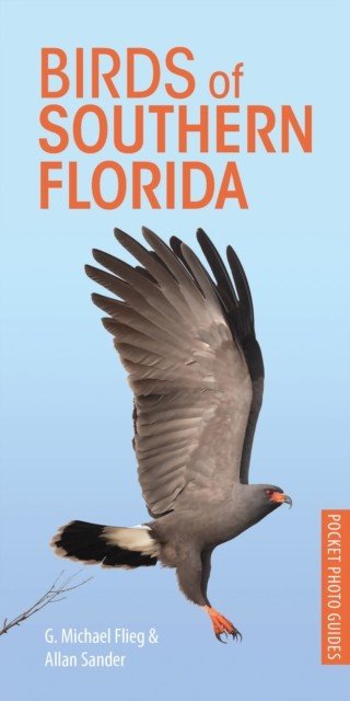 Birds of Southern Florida (Flieg G. Michael)(Paperback / softback)