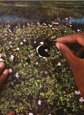 Re/Sisters: A Lens on Gender and Ecology (Pardo Alona)(Pevná vazba)