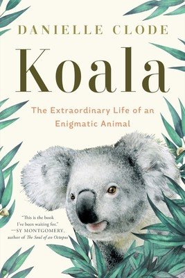 Koala: The Extraordinary Life of an Enigmatic Animal (Clode Danielle)(Paperback)