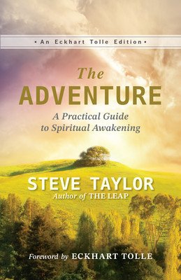 The Adventure: A Practical Guide to Spiritual Awakening (Taylor Steve)(Paperback)