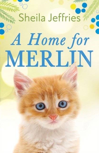 Home for Merlin (Jeffries Sheila)(Paperback / softback)
