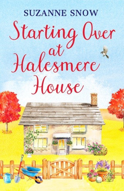 Starting Over at Halesmere House (Snow Suzanne)(Paperback / softback)