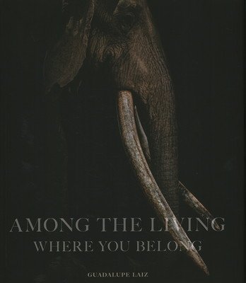Among the Living: Where You Belong (Laiz Guadalupe)(Pevná vazba)